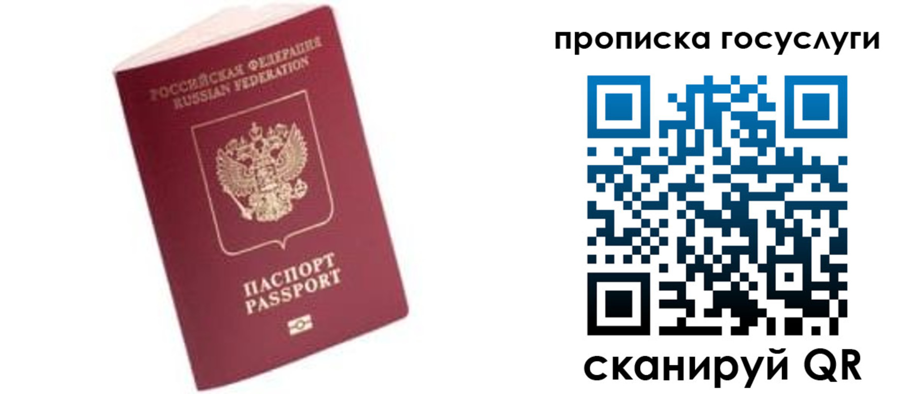 прописка в Рославле